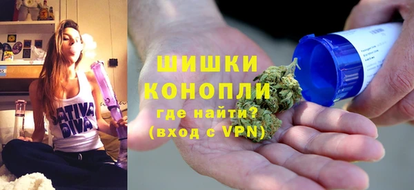 мдпв Заводоуковск