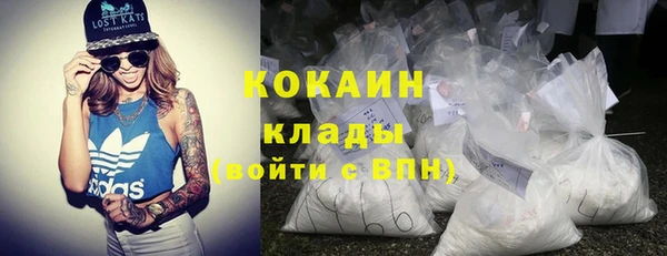 мдпв Заводоуковск