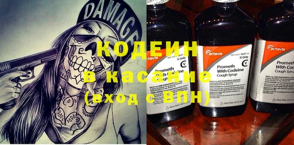 мдпв Заводоуковск