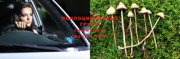 мдпв Заводоуковск