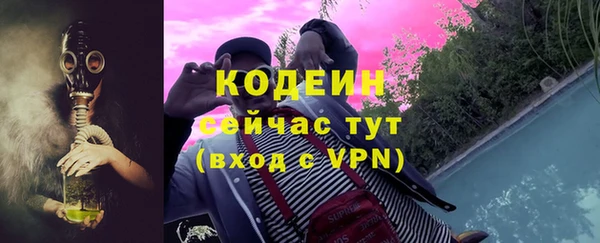 мдпв Заводоуковск