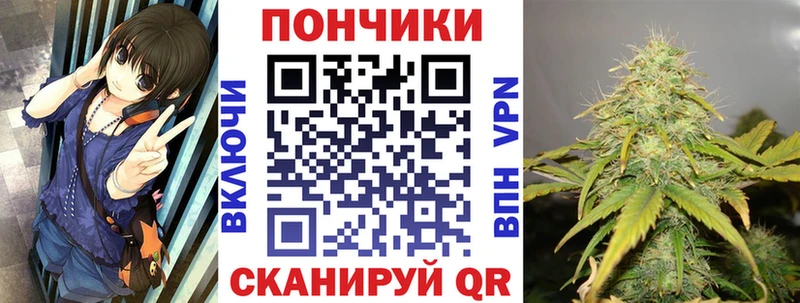 Купить где  Заволжск  Конопля планчик 
